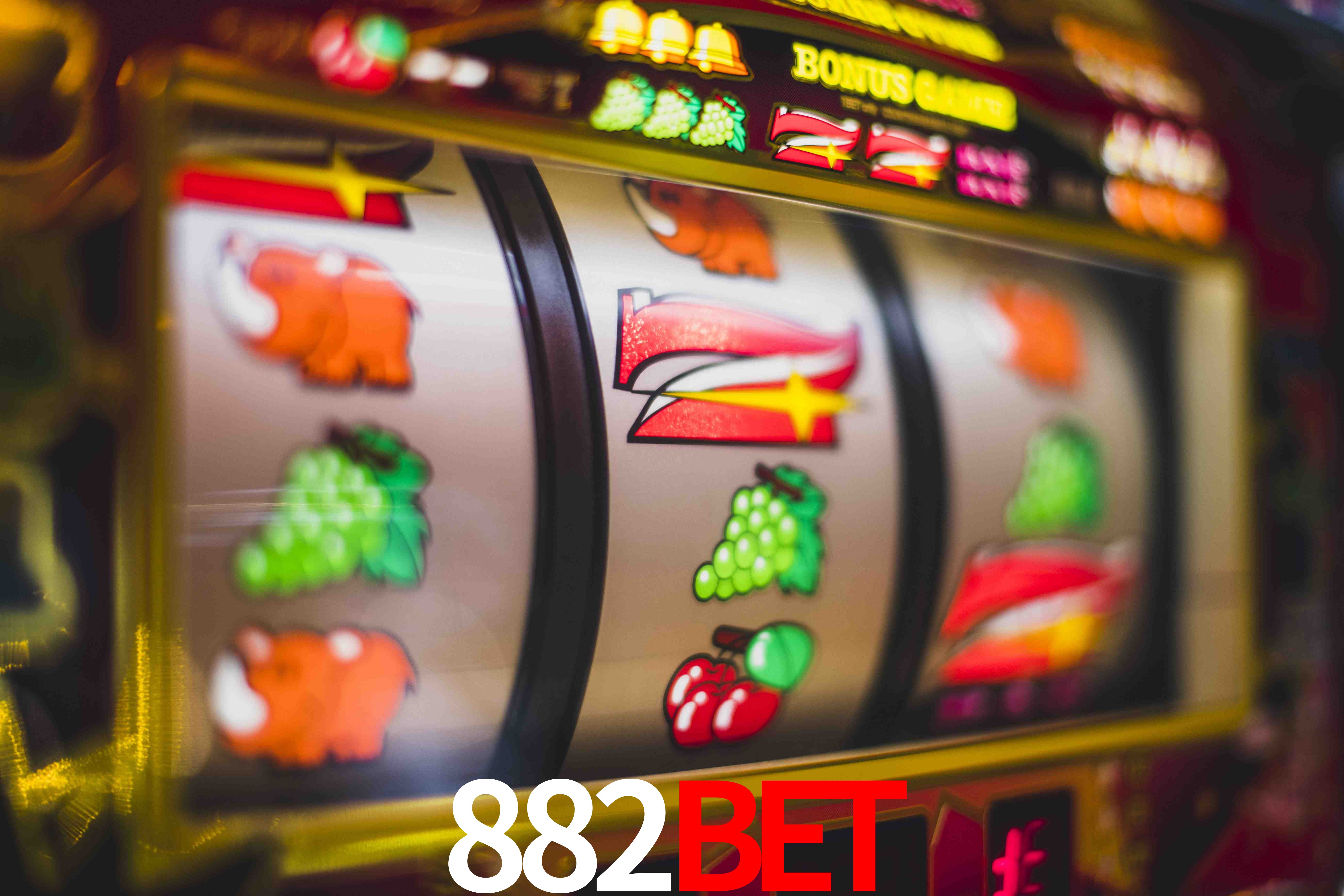 Statistics 882bet